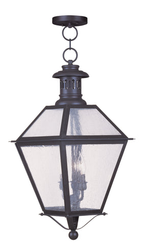 Livex Waldwick 3 Light Bronze Outdoor Chain Lantern  - C185-2049-07